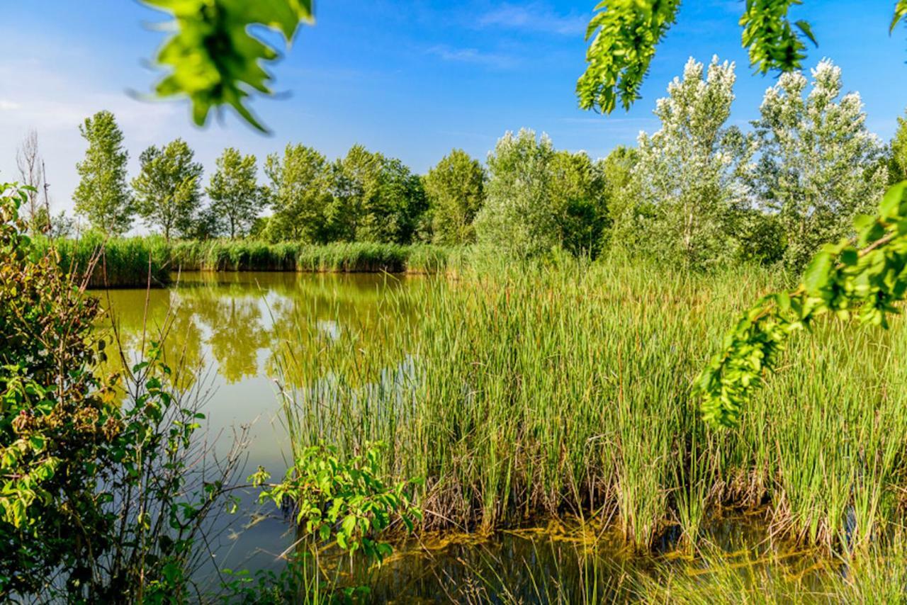 Agriturismo Tenuta Regina - Glamping Luxury Lodges And Apartments Palazzolo dello Stella Екстериор снимка