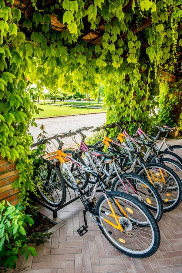 Agriturismo Tenuta Regina - Glamping Luxury Lodges And Apartments Palazzolo dello Stella Екстериор снимка